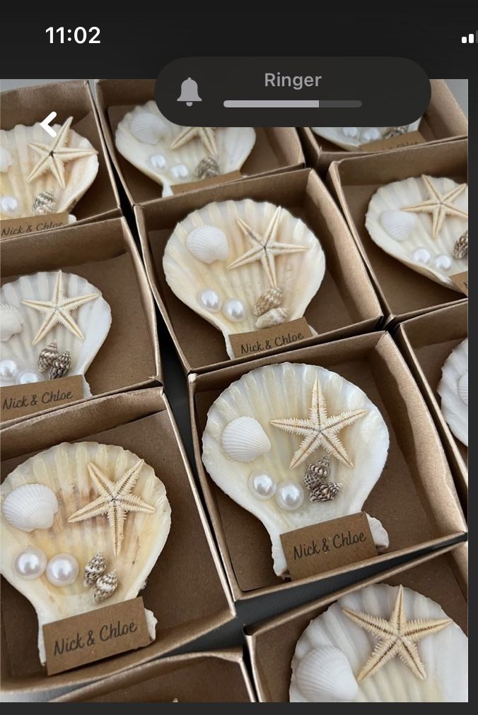 Natural Shell Glow Candle Duo