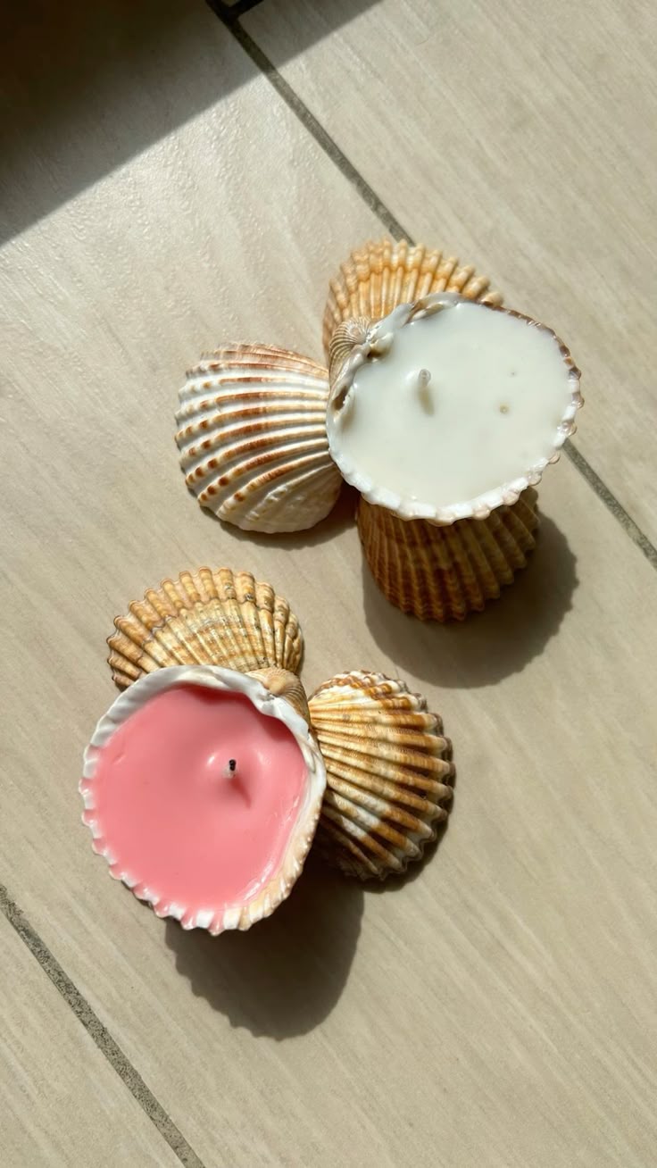 Natural Shell Glow Candle Duo